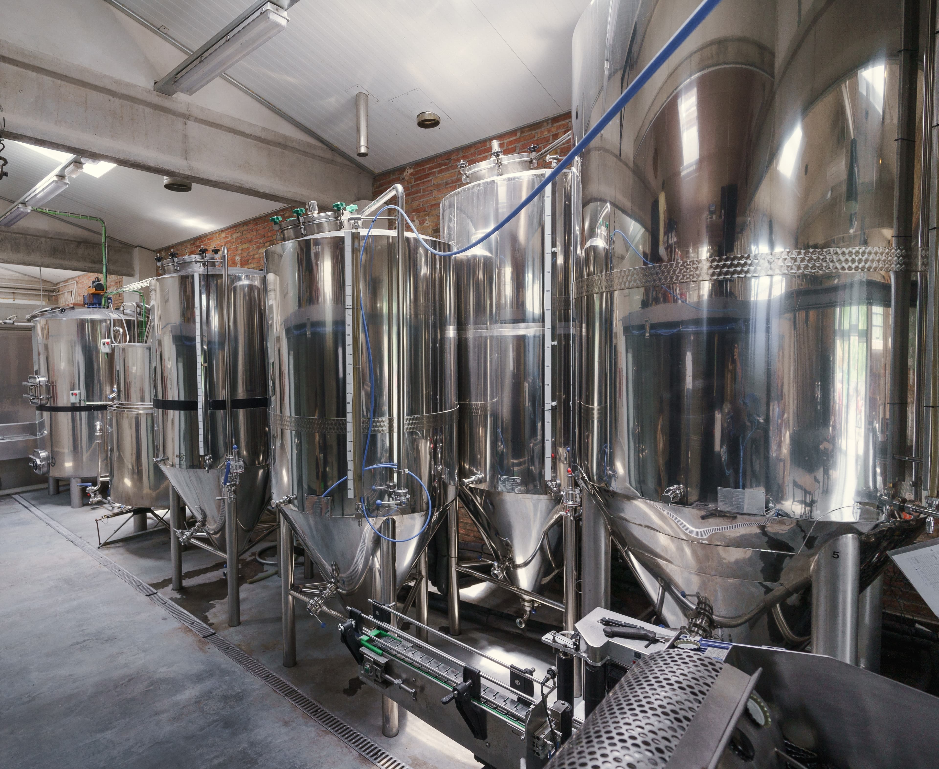 Image of the product